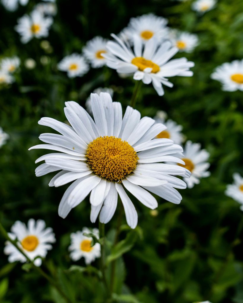 Briana Jayne Elliott Profile Photo