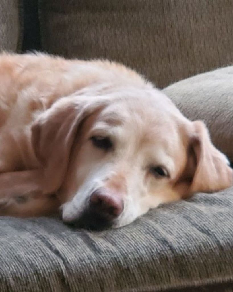 Rosemary "Rosie" Waltz