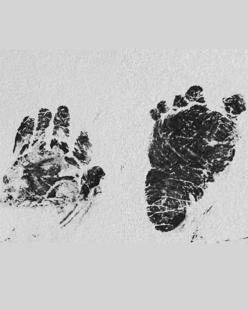 Avery Hope Hughes Profile Photo