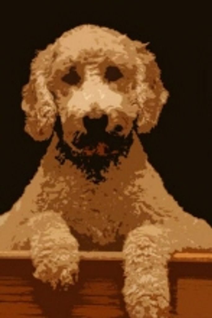 Jack Liskey Profile Photo