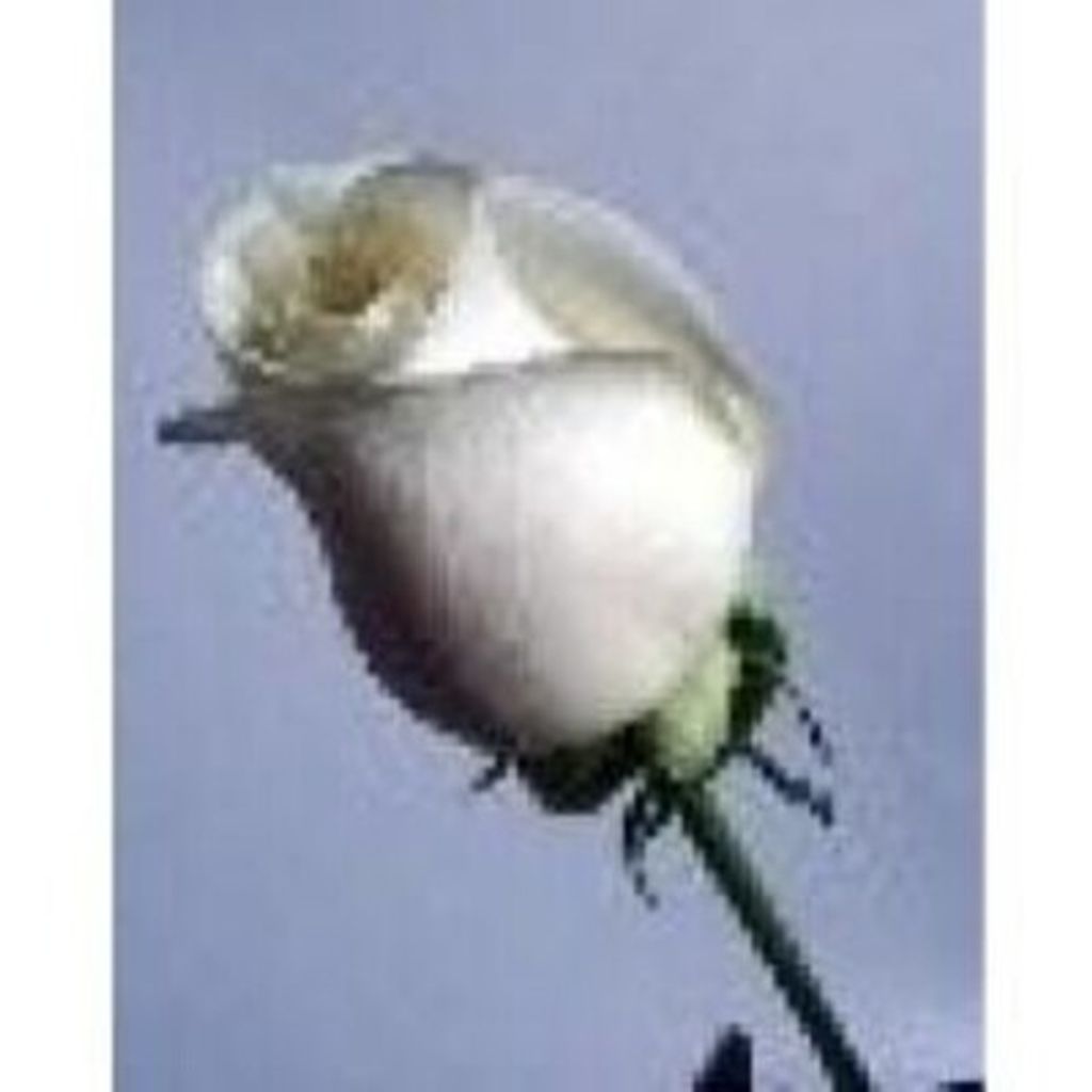 Mary Frances Bagwell