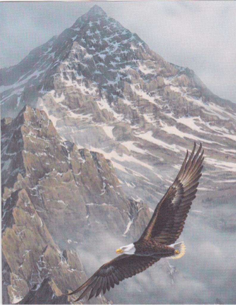 Daniel A. Calabrese Profile Photo