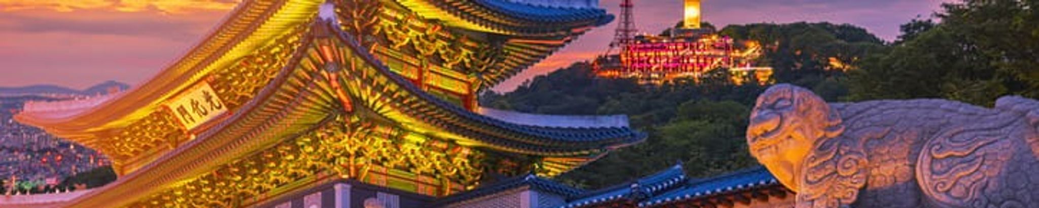 Cover for Ok (Oak) Hui (He) Songer's Obituary