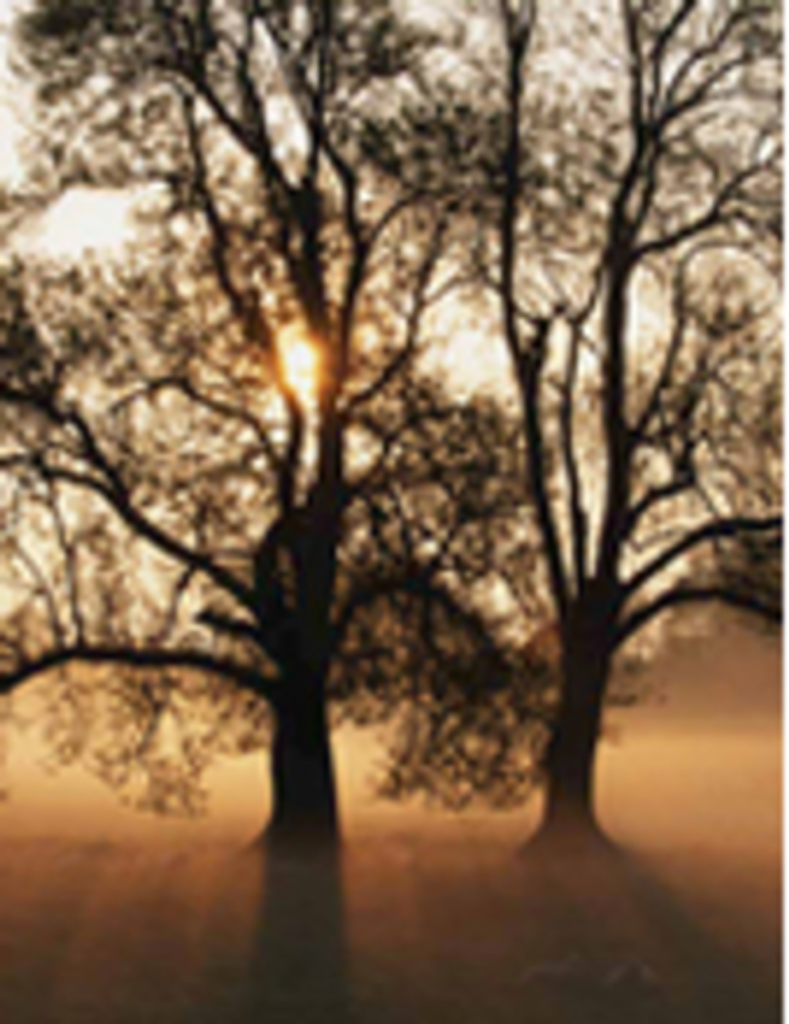 Kelly Harold Boles Profile Photo