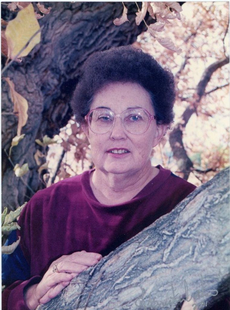 Suzanne C Simons Profile Photo