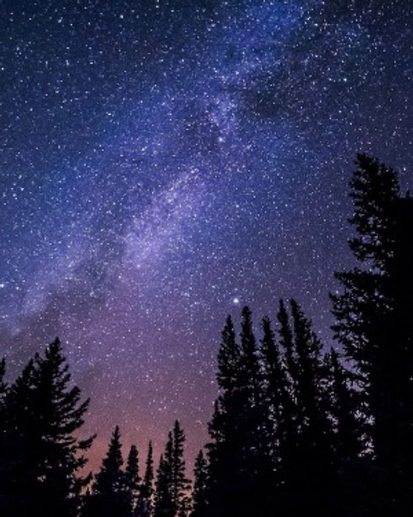 Sean Zuluaga Profile Photo