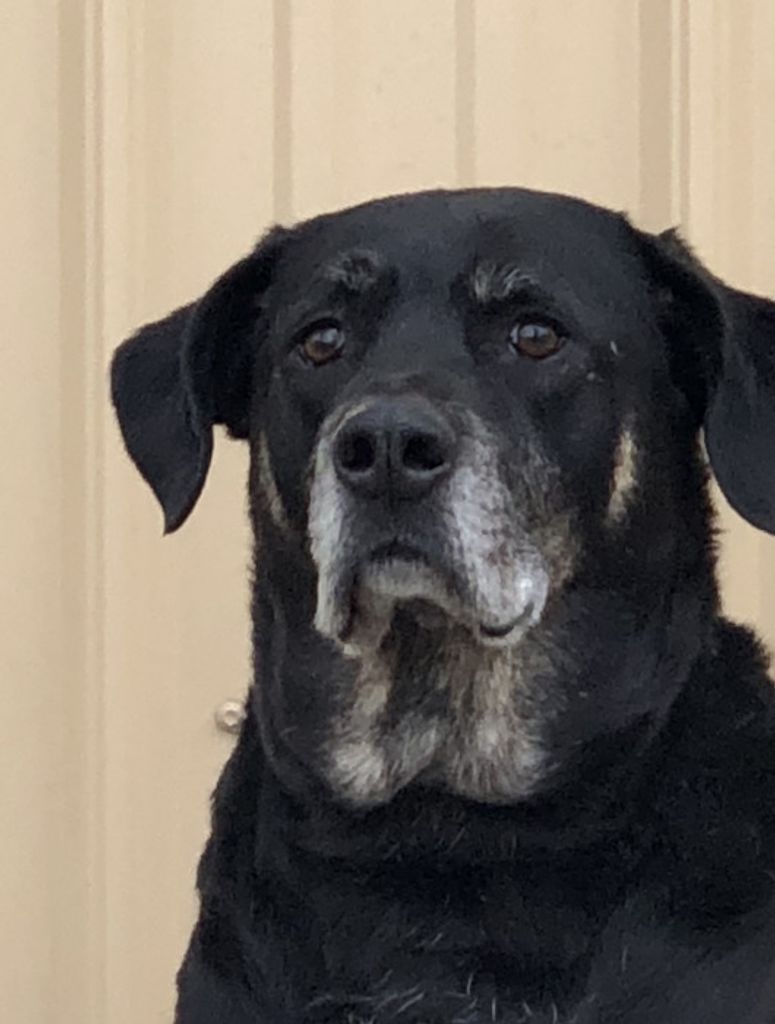 Skipper Watson Profile Photo