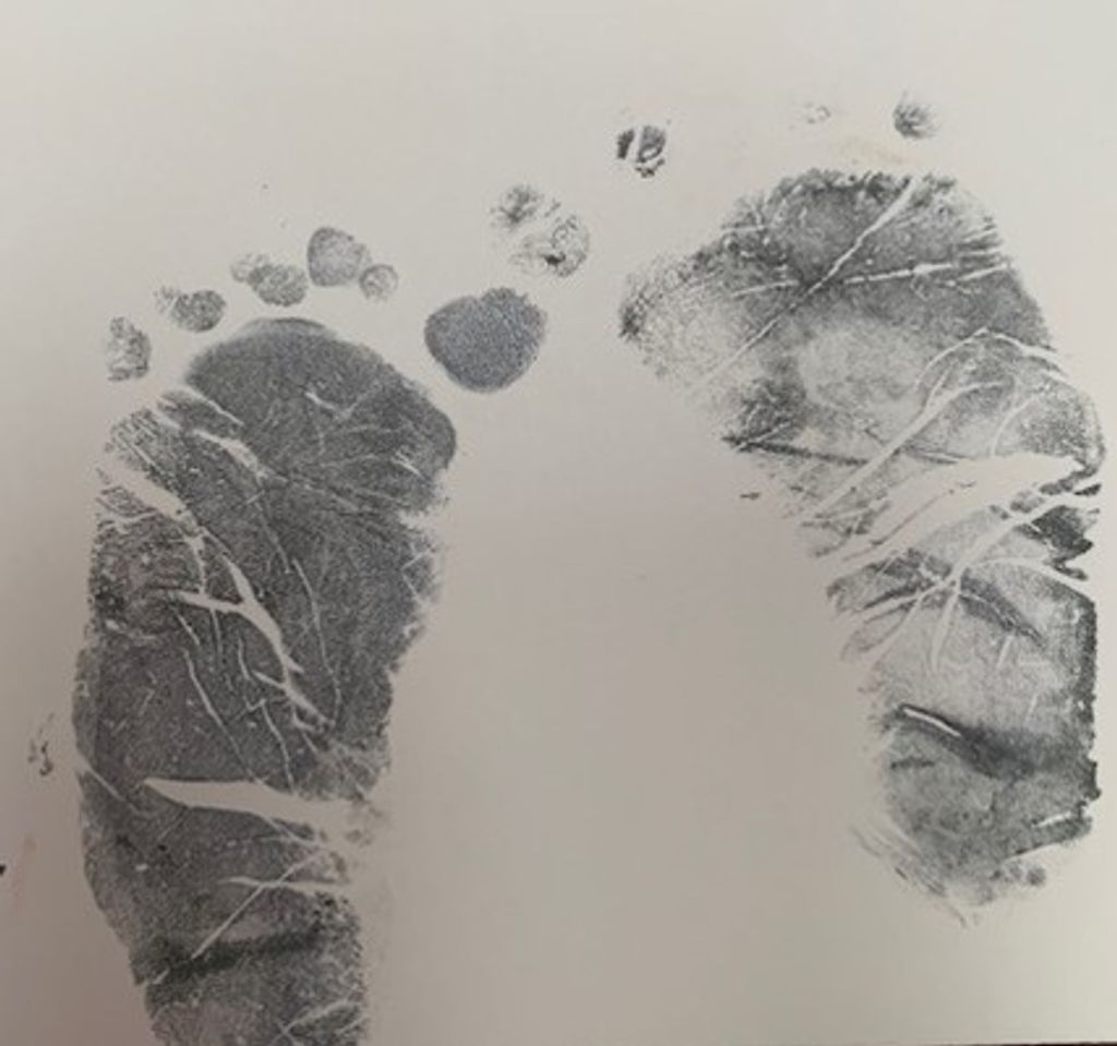 Hayden Remington Layton Profile Photo