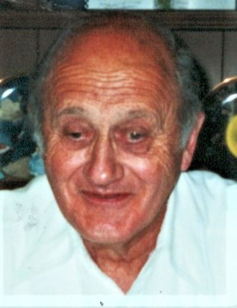 Louis Vincent Sica Profile Photo