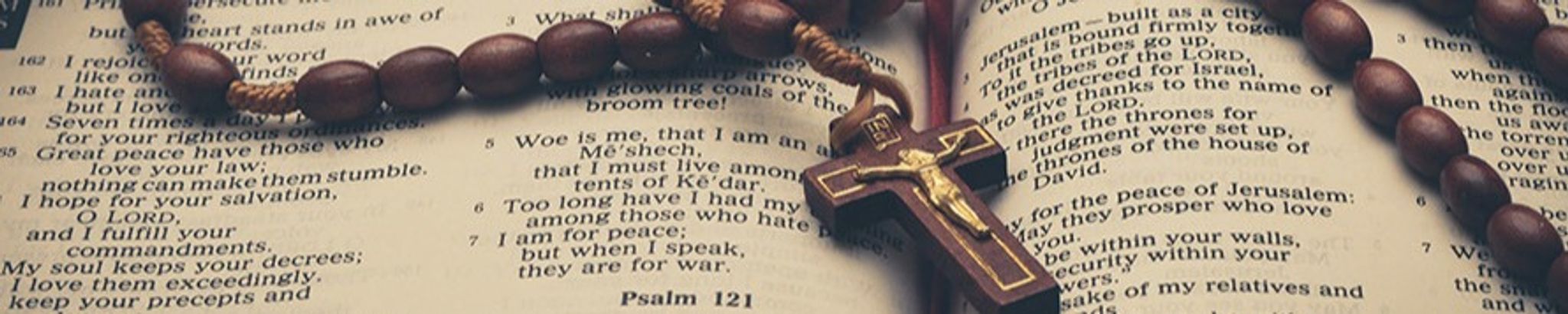 Cover for Maria Teresa Gomes's Obituary