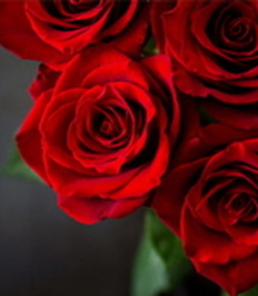 Crystal Botkin Profile Photo