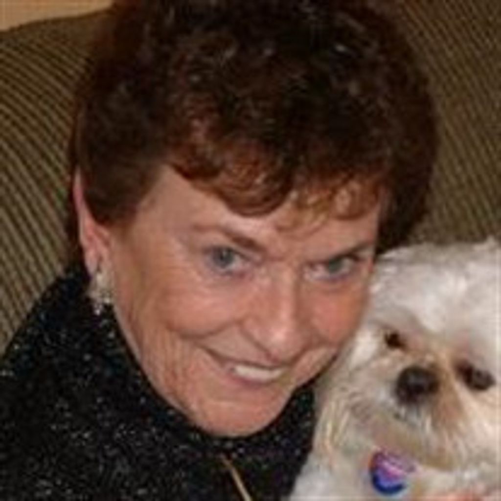 Mary J Steinkamp