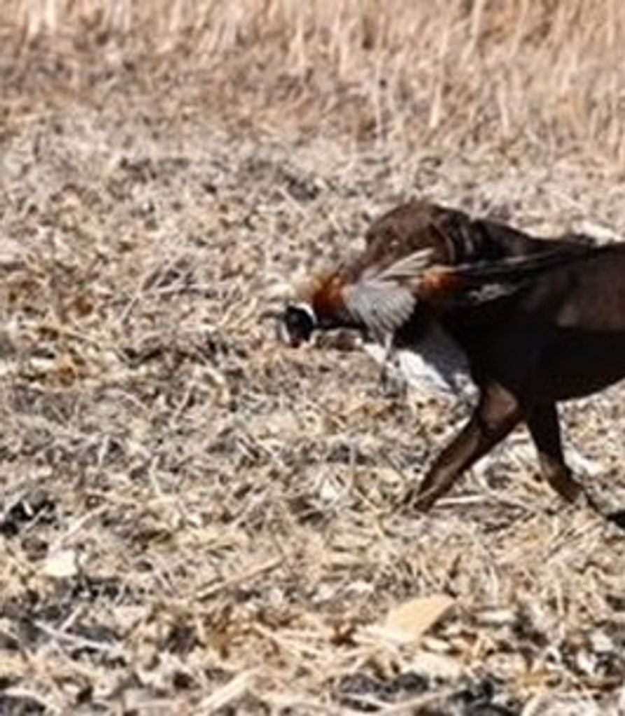 Sherman Jolley Profile Photo