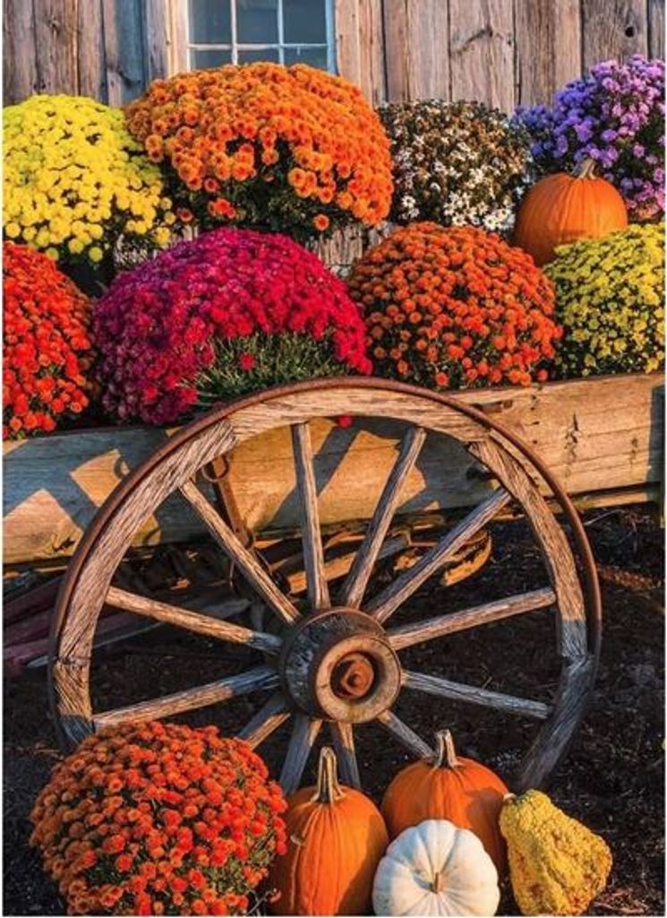 Ann Ethridge Profile Photo