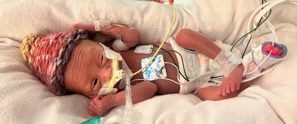 Little Presley Jane Wiggins