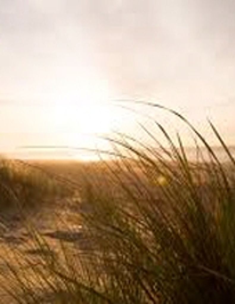 Larry  Eugene Barnett