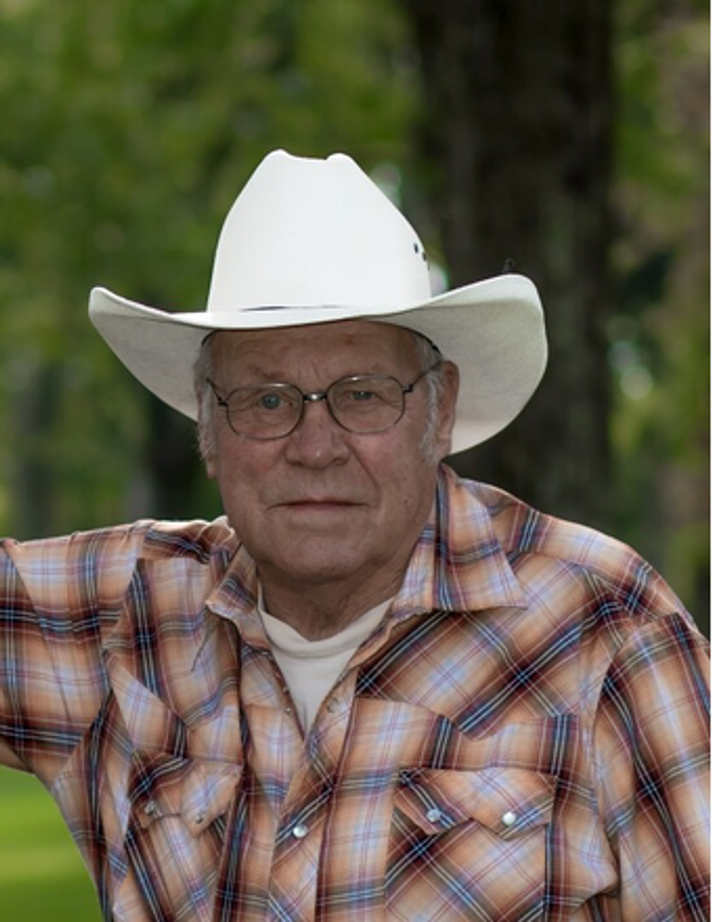 Dennis Harold Hage Profile Photo