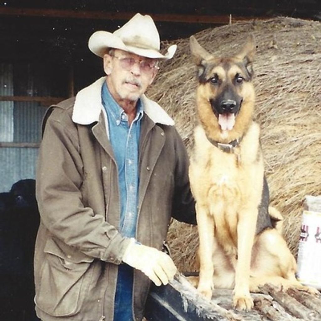 John A Pitts Profile Photo