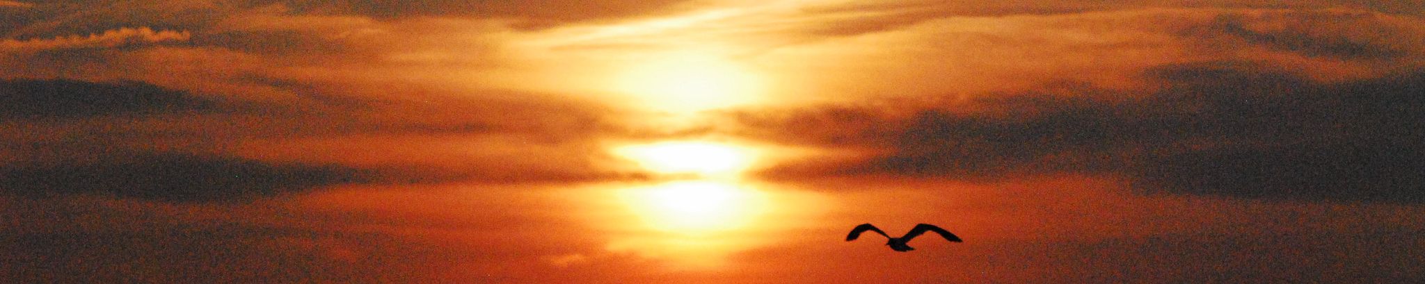 Cover for Jerry Fox Jr.'s Obituary