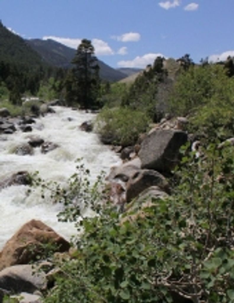 Ernest Marcus Whiteman Profile Photo