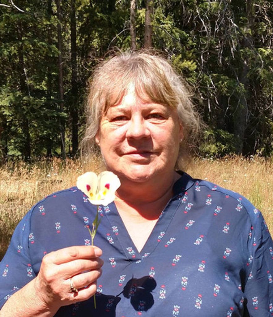 Mary Lou Daly Profile Photo
