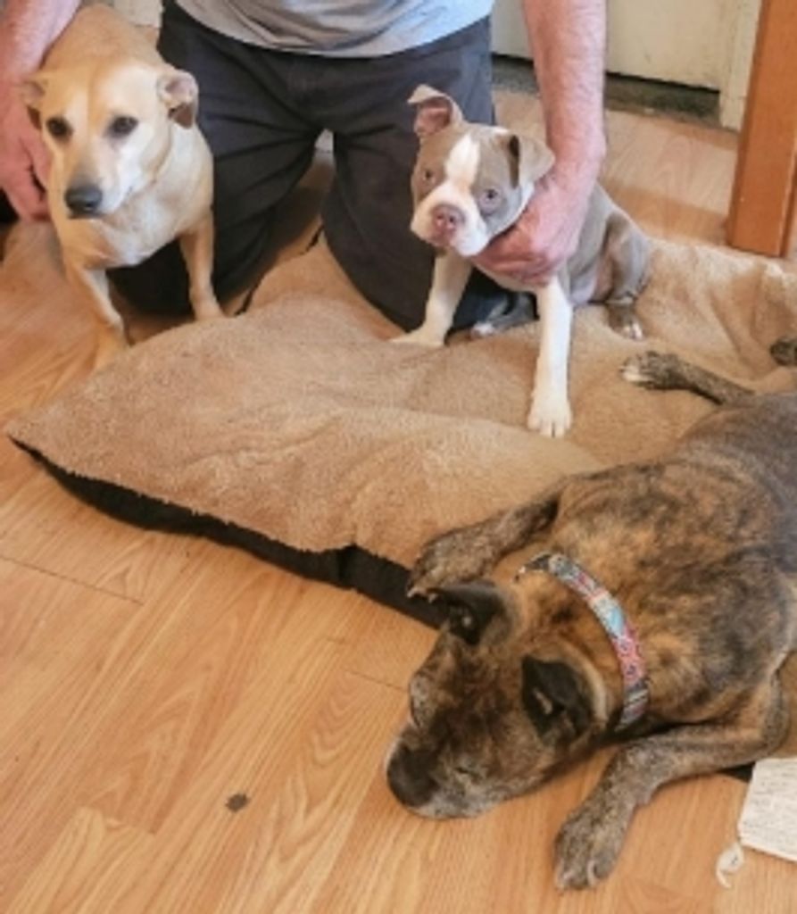 Virginia "Ginny" Clark Does Profile Photo