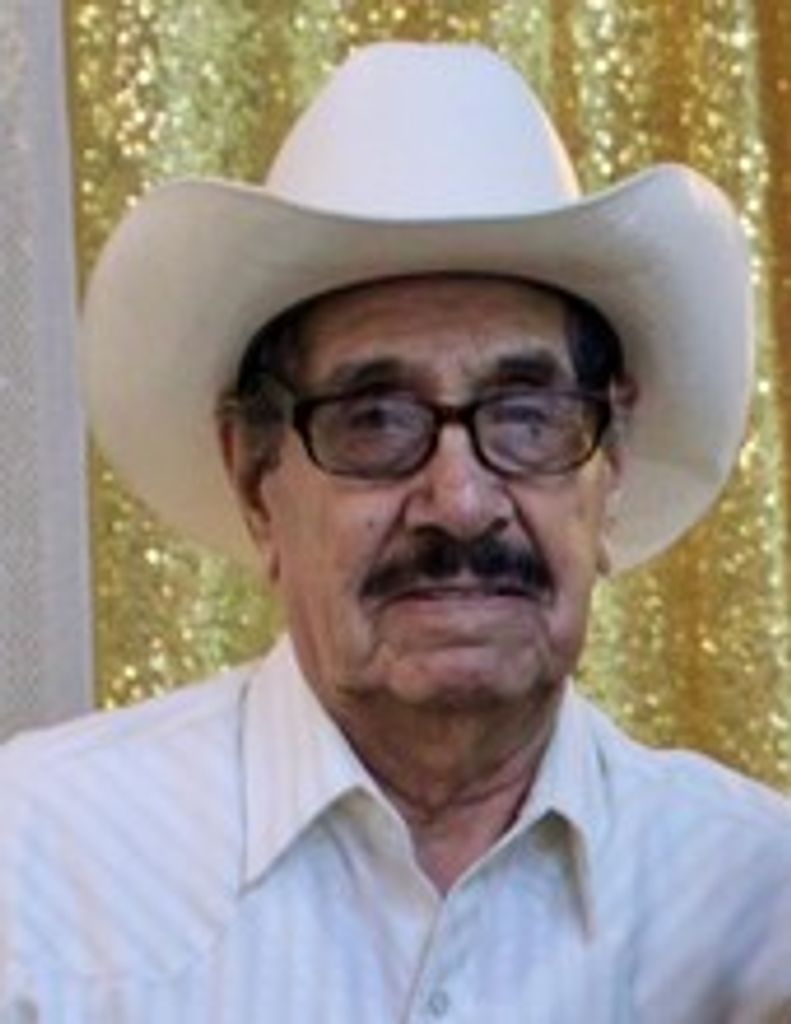 Enrique Segovia Olivas