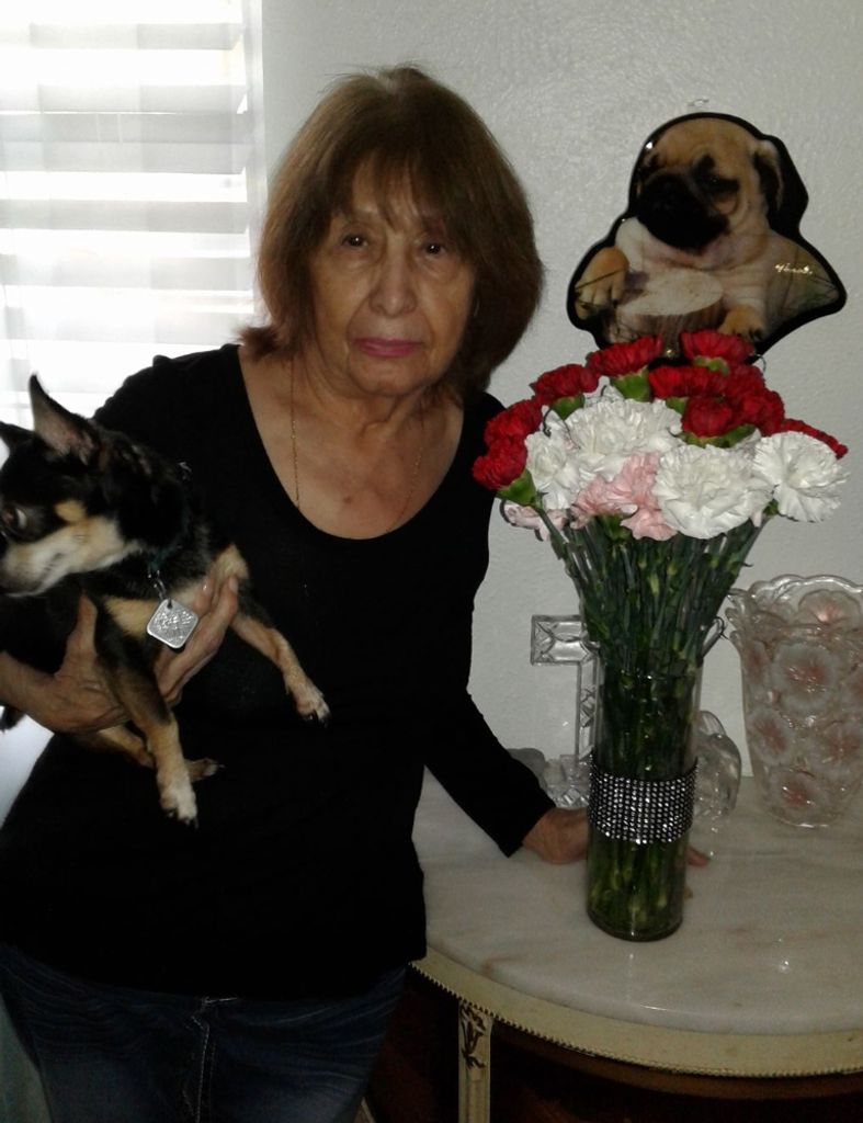 Virgie  Olivo 