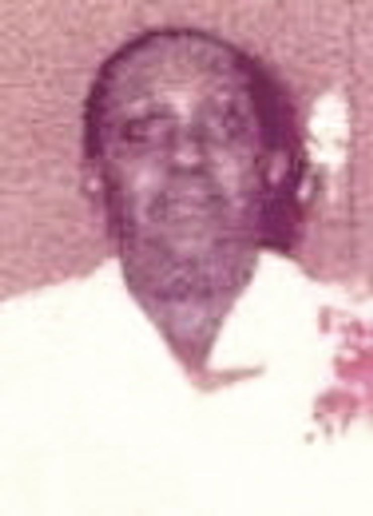 Bessie (Viney) Crooms