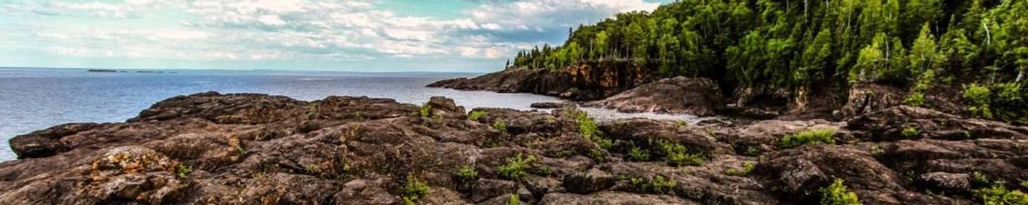 Cover for Sue Chappell Rigby's Obituary