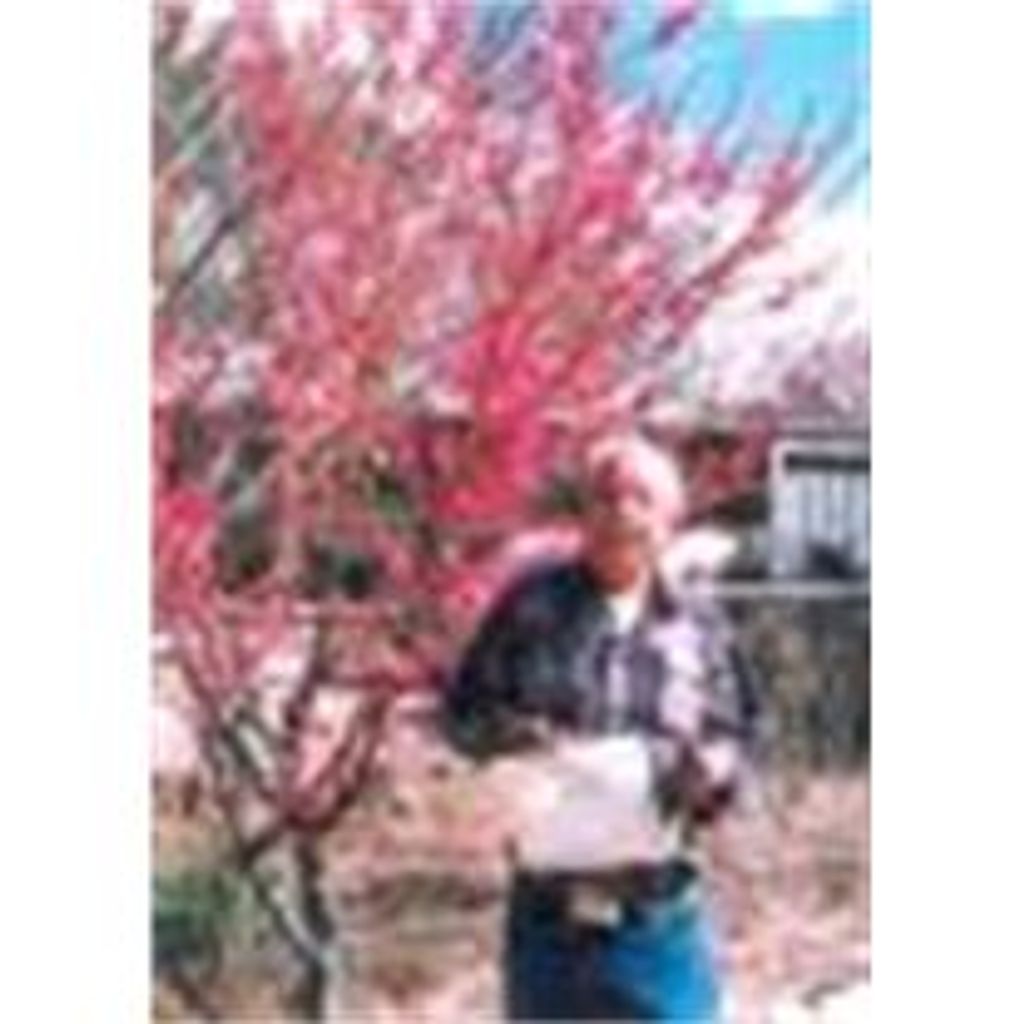 Benceslado W. - Age 80 - La Mesilla Martinez