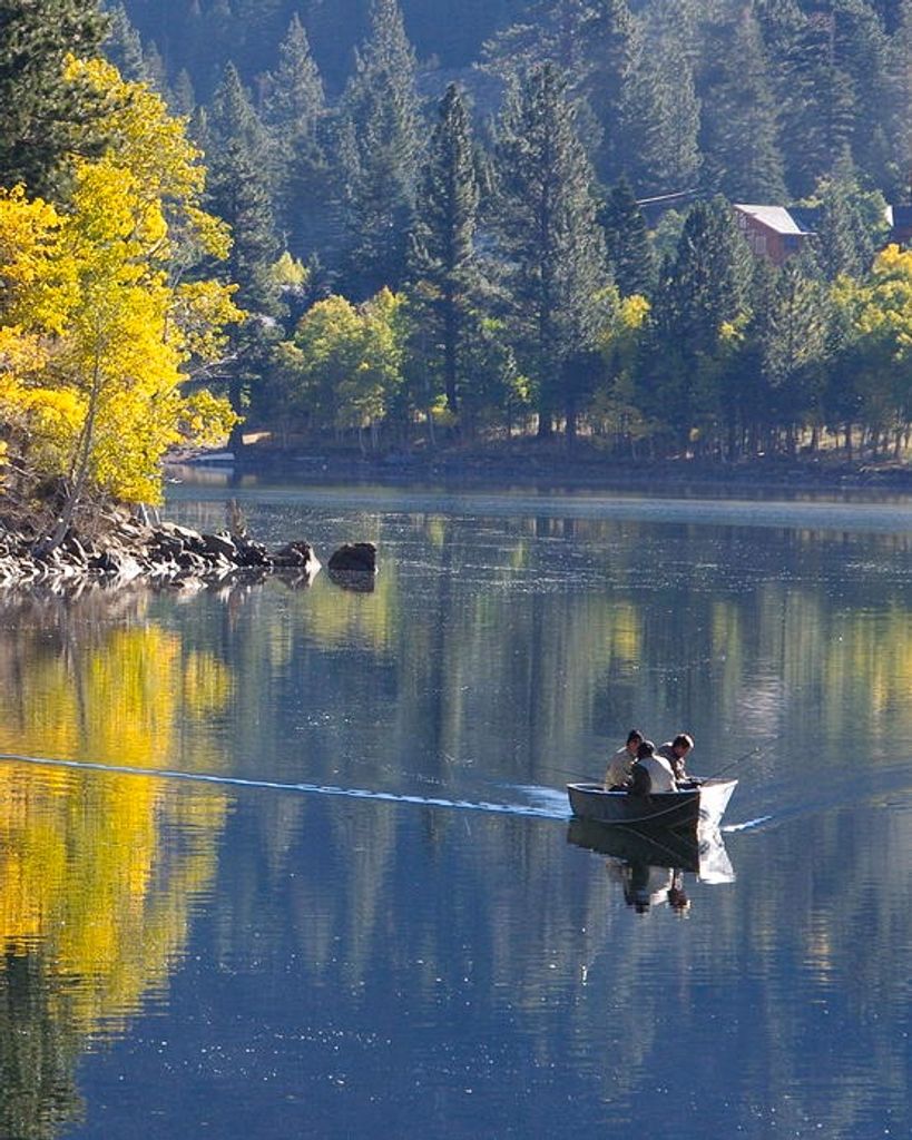 Oravel Lee Shellman Profile Photo