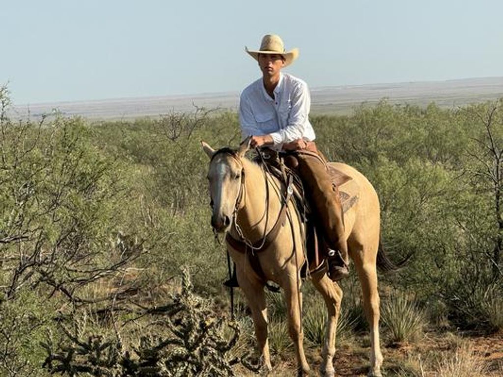 Guy Peterson Profile Photo