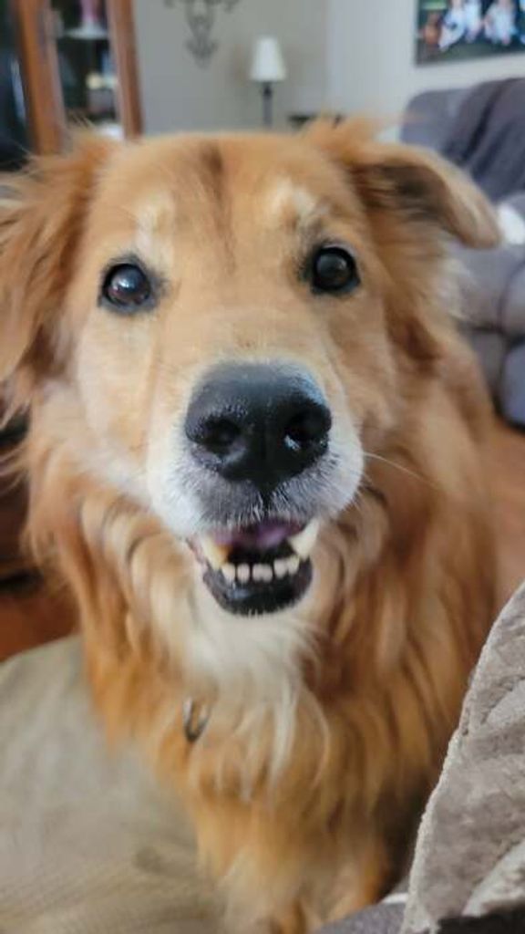 Cosmo Binkley Profile Photo