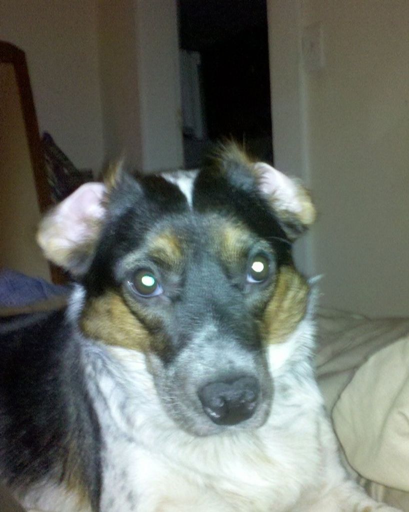 Jade "Jadey Girl" Porter