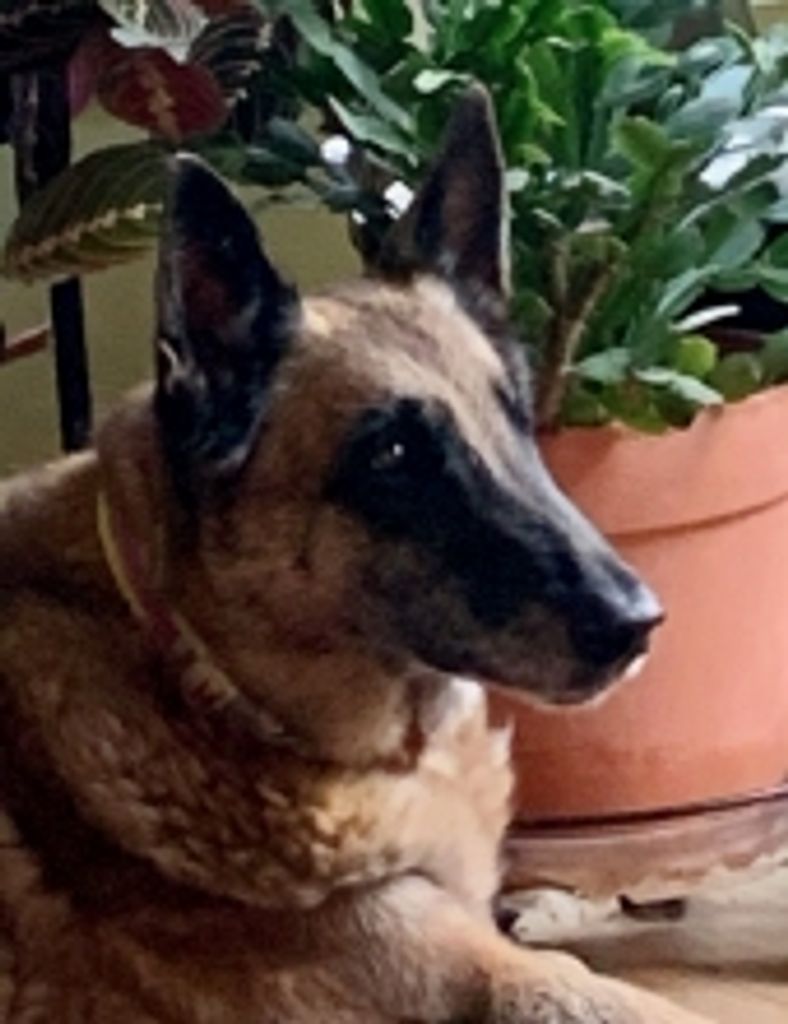 Lola Amick Profile Photo