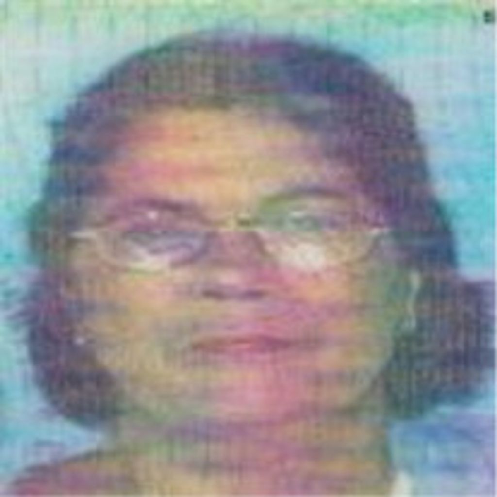 Irene F. Baillargeon Profile Photo