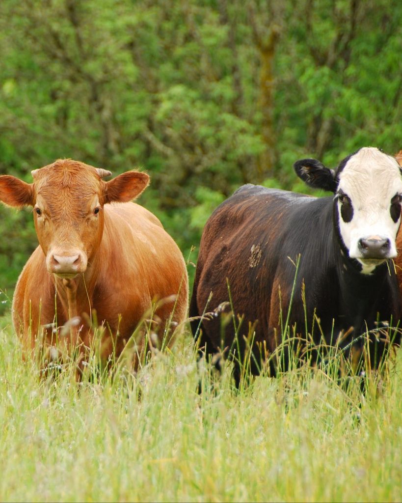 Gary W. Sobba Profile Photo