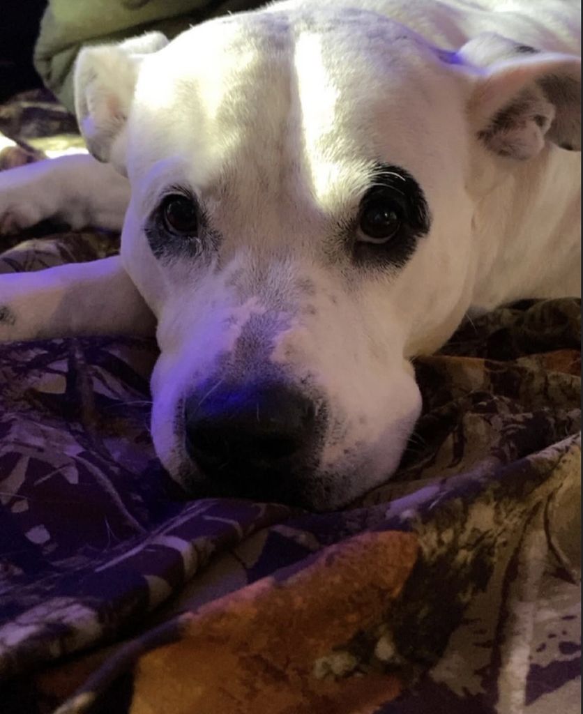 Polka Dot Pritchard Profile Photo