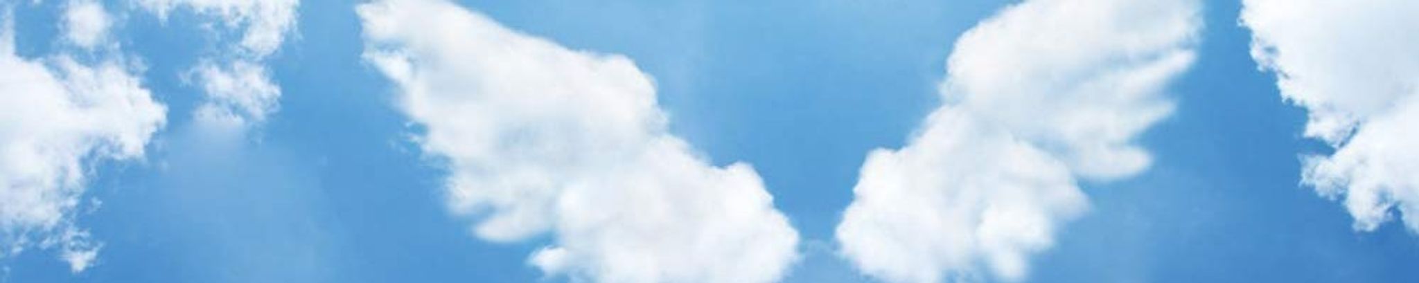 Cover for Ace Franklin Warman-Churchill's Obituary