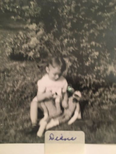 Diana L Rogers photo gallery thumbnail 39 of 65