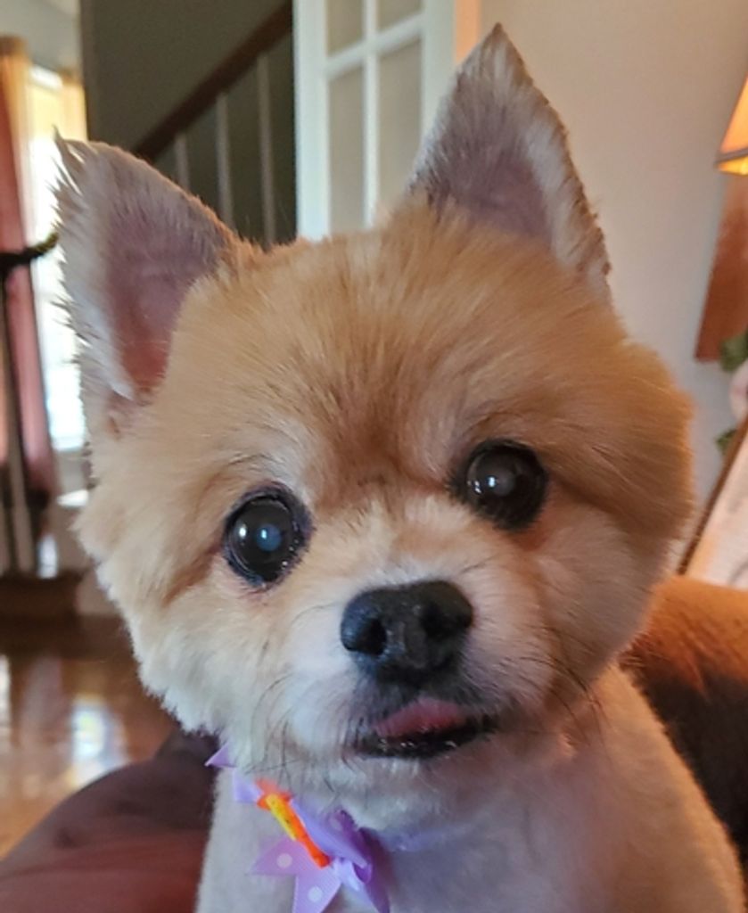 Dolly Wagnon Profile Photo