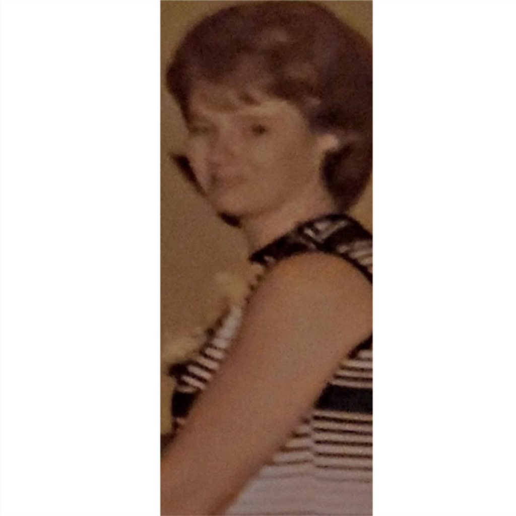 Geraldine "Gerry" DiGenova