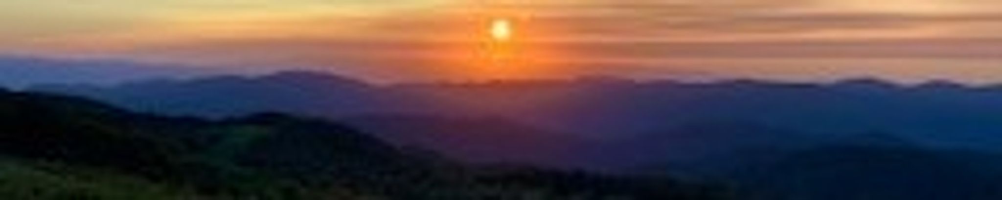 Cover photo for Patricia Gene Whaley's Obituary