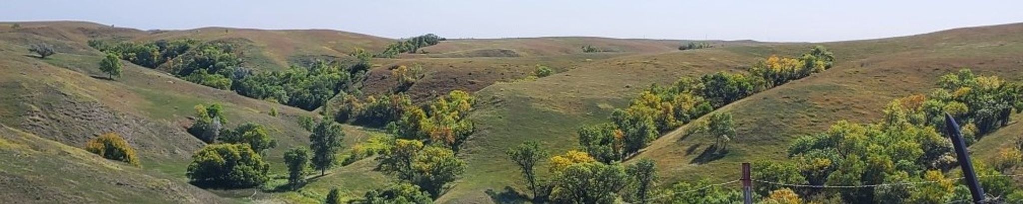 Cover for Paula Veit's Obituary