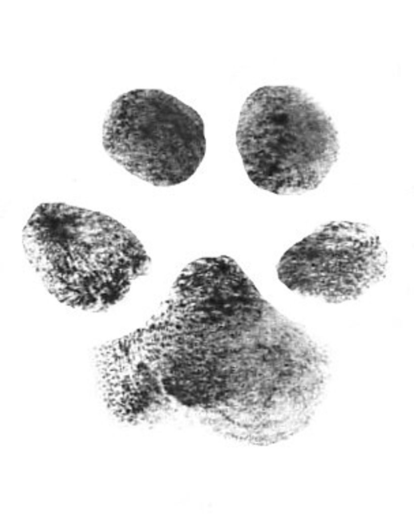 Fritz Rhoney Profile Photo