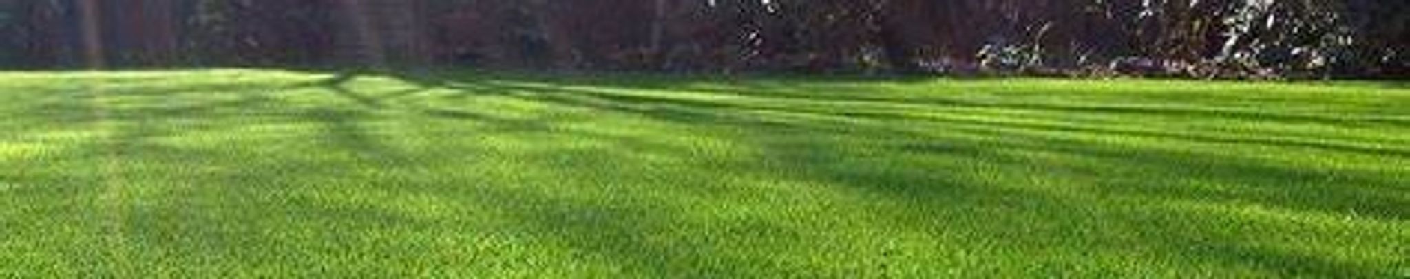 Cover photo for Forrest Edward Ford's Obituary