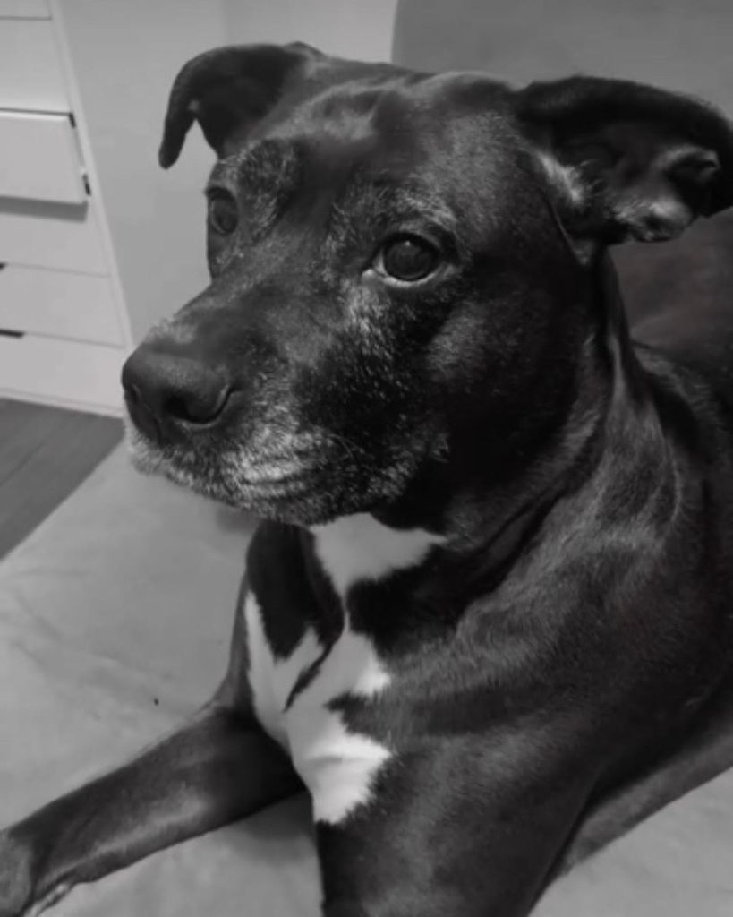 Nina Diaz Profile Photo