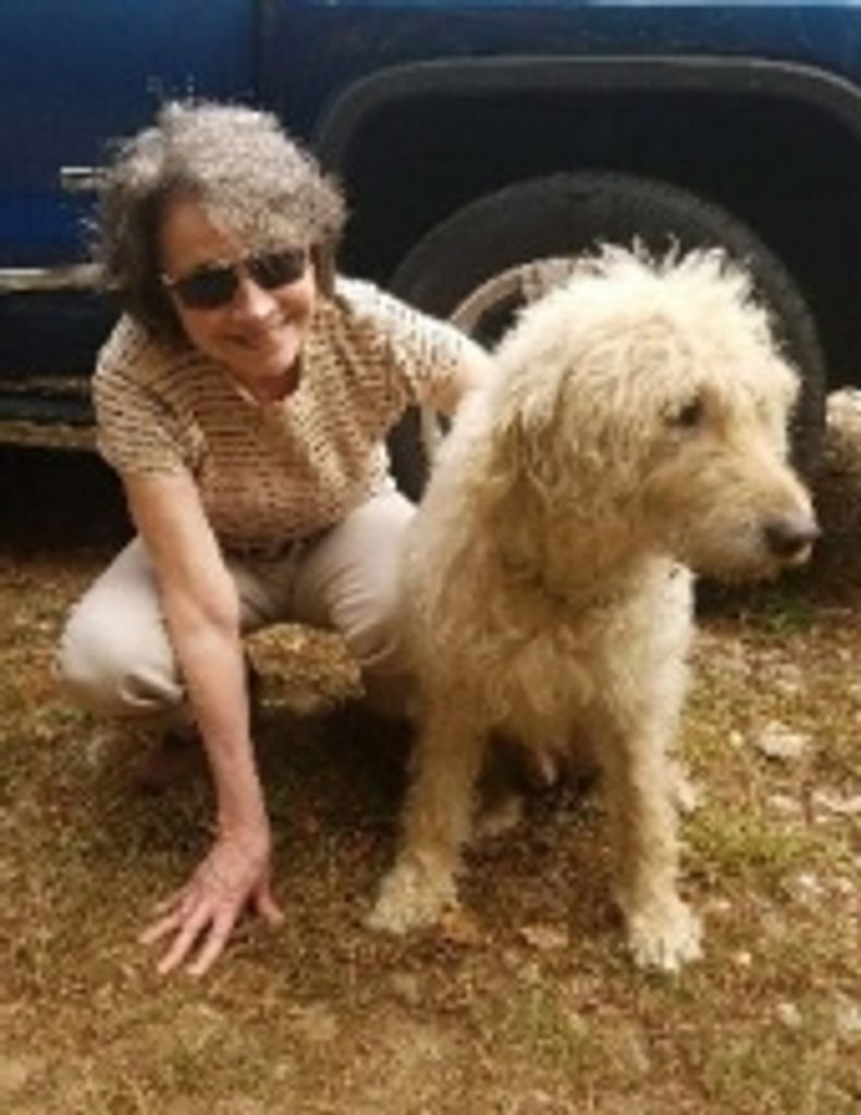 Ruth M. Lambert