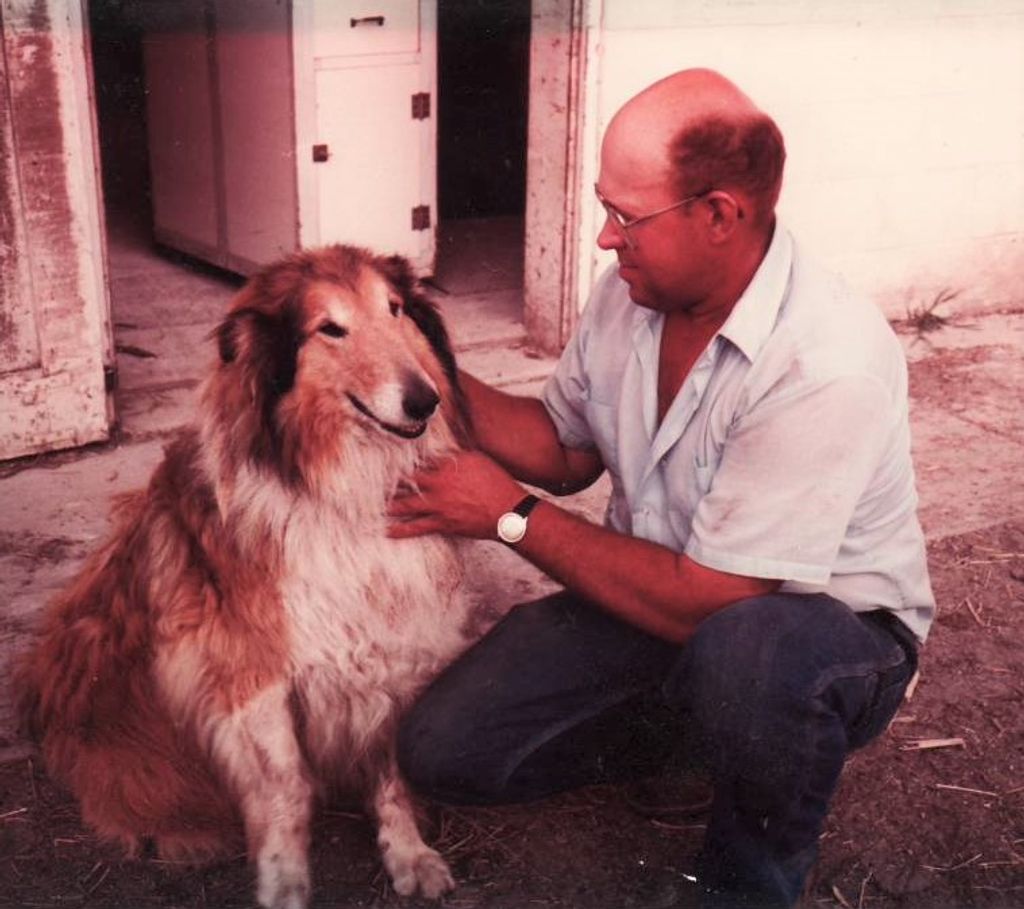 Raymond J. Sedevie